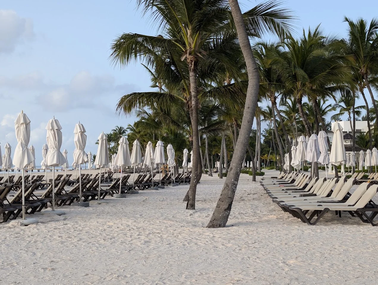 The beach before the day begins